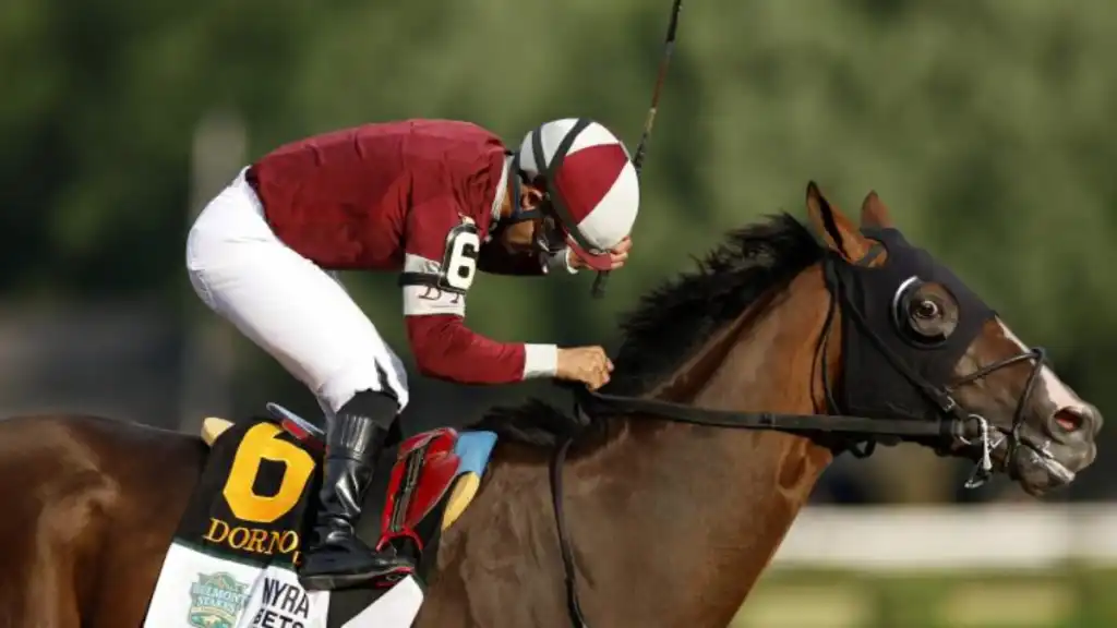 El ganador del Belmont Stakes 2024 es revelado por Business Upturn