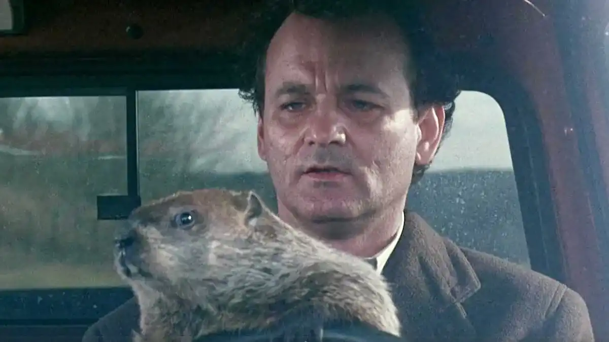 Bill Murray El día de la marmota: ¿Cuántas veces revivió?
