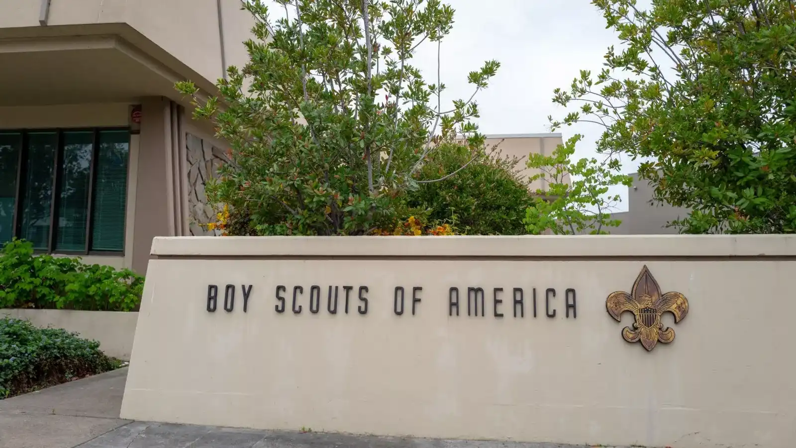 Boy Scouts name change sparks backlash: Destroyed by wokeness