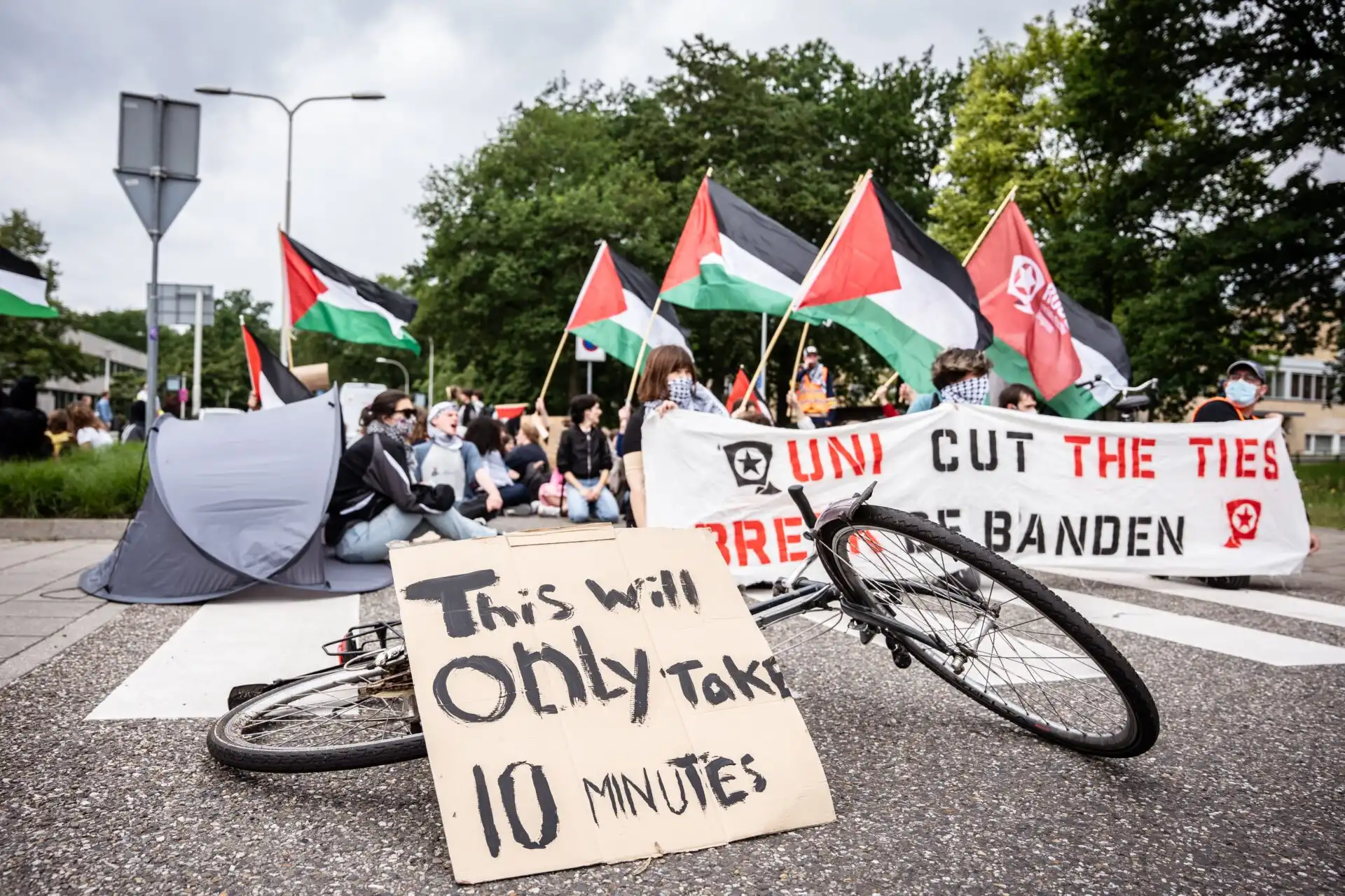 Protestas a favor de Palestina permitidas en el campus: revista Vox