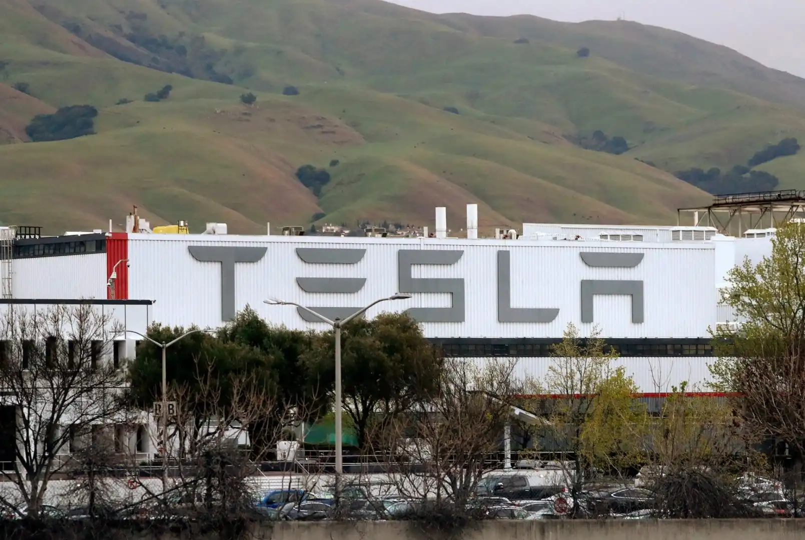 Ataque al robot Tesla: Ingeniero inmovilizado y sangrando
