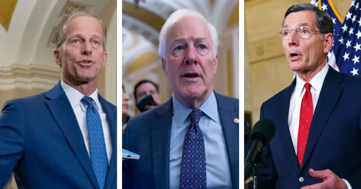 Three Johns podría reemplazar a Mitch McConnell Comienza la carrera por el liderazgo del Senado