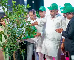 Dos lakh de árboles jóvenes se plantarán en Bengaluru este año, dijo el diputado CM Shivakumar - Rahnuma Daily